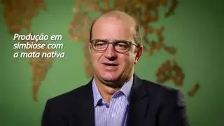 Floresta Plantada - Relat&oacute;rio 2016