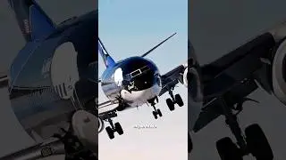 Shark Plane vs. Orca Plane: Which Reigns Supreme #flyingfish #glider #skyhook #flyblade #flightbeam