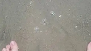 Sea Isle City Beach