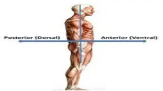 Vocabulary Drill 9 | Vocabulary With Mnemonic # BARRONS # KAPLAN # WORD SMART # MAGOOSH # MANHATTAN