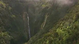 Epic Manoa Falls Electric Bike to Hike Experience