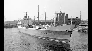 LENINSKIYE GORY- IMO 6420719