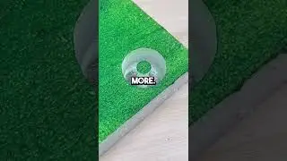 The last one is🤯 - - - 👉Follow factsplugg for more daily content👈 👉Follow factsplugg for mo