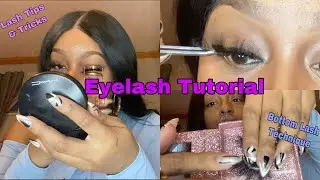 How To Apply Strip Eyelash | How to Achieve Fuller Bottom Lashes | Danielle Denese