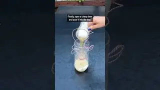 Cheap and easy wasp trap using a plastic bottle