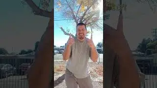 VIDEOTO1990SHOLLYWOODTV.📺ACTORS.ALEC  MUSSER DIEDAT50&ADAN CANTODIEDAT 42+HARASS&TWISTIN2024-14-1RIP