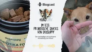 [BLOGCAST] Probiotische Leckerchen von DogSuppy im Test 🐶💚