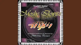 Veyazor (feat. Moshe Ilowitz)