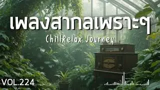 ChillRelax Journey Vol.224 รวมเพลงสากลเพราะๆ ฟังสบายๆ  #เพลงใหม่ล่าสุด  #เพลงฮิต #เพลงสากล #รวมเพลง