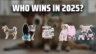 The Top 5 Best Dog Recovery Suit in 2025 - Must Watch Before Buying!