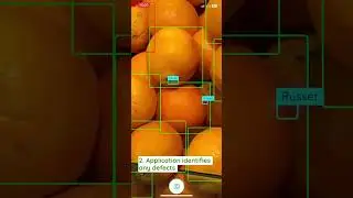 Clarifruit's AI-driven Quality Control platform.