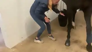 Linda arbetsbandage