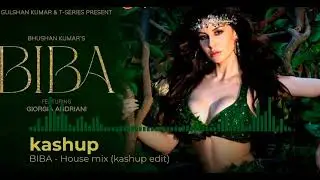 Biba  - House mix | (kashup edit)