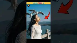 Smart Birds | seagull #shorts #shortsfeed #facts #birds