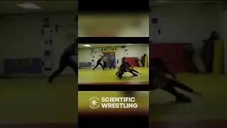 Grappling Moves Training | Essential Wrestling & Submission Drills #shorts