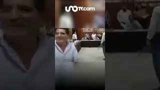 &iquest;Llueven mapaches? Cae uno en sala de cabildos de Acapulco; video se viraliza