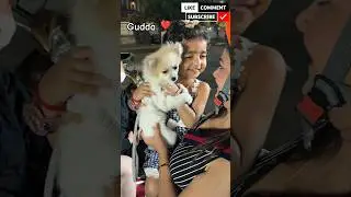 FURR wala gudda ❣️ #shortvideos #dog