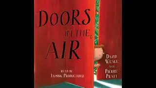 Doors in the Air - David Weale