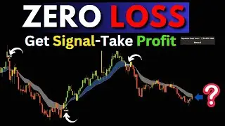 New TradingView Indicator Revealed! Auto Profit Generator?