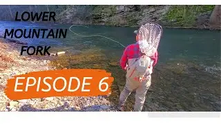 Dry Fly Fishing for Rainbow Trout-Winter on the Lower Mountain Fork(EP.6)
