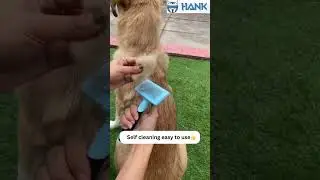 Never underestimate the power of a good brushing.  #dogbrush#dogslickerbrush#doggrooming #petgroom