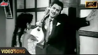 Tere Aage Bolna Dushwar Ho Gaya (4K) - Hum Sub Chor Hain | Shammi Kapoor| Mohd Rafi Classic