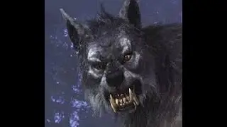 SCARY WAMPUS CAT