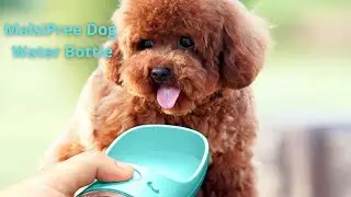 MalsiPree Dog Water Bottle