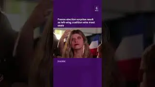 France's shock election results