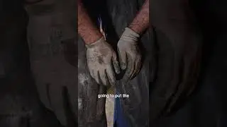 Farrier uses glue on shoe to help lame horse