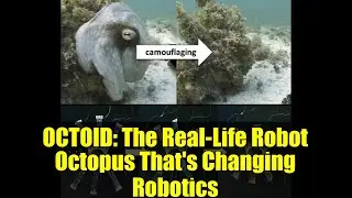 OCTOID: Реальный робот-осьминог, меняющий робототехнику.