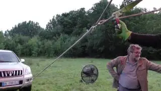 Vol en montgolfière au départ de Magné (Deux-Sèvres)