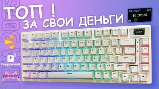 Monka 3075 Pro V2: THE BEST BUDGET KEYBOARD | ЛУЧШАЯ БЮДЖЕТНАЯ КЛАВИАТУРА