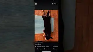 Adding Alt Text from an Apple Phone for Facebook