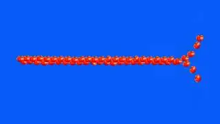 animated tomatoes vegetable green screen/animation tomato vegetable green screen