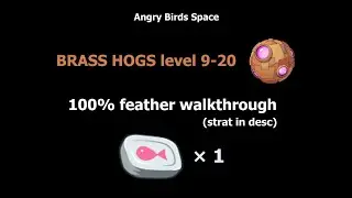 AB Space &mdash; Brass Hogs 9-20 &mdash; Space Eagle 100% feather, using 1 sardine can