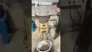 Small Wood Pellet Machine 100-200KG/H Biomass Fuel Pellet Mill for Home and Farm Use Production