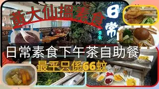 [素食飯團-5] 巳結業|黃大仙日常素食 | 下午茶素食自助餐 | 最平66蚊任食 | 食物質素唔錯 | 不停更新食物 |有甜品 | 炸物 | 蒸糕 | 飲品 | 煎腸粉 | 沙律涼伴| 鄰近MTR站