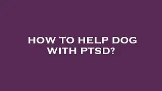 How to help dog with ptsd?