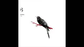 Birdmen - Trip (ft. HILLOC)