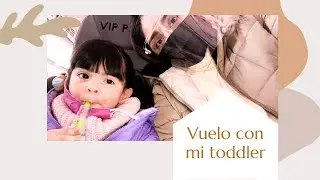 VIAJAR EN AVION CON UN TODDLER
