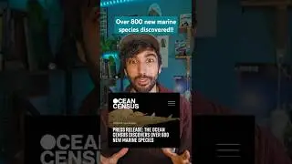 Announcement by Ocean Census! 🌊 🪸  866 NEW marine species discovered! #news #ocean #wildlife #nature