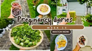 Pregnancy diaries week 13 🤰 1St time mommy diaries