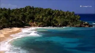 LÁGRIMAS NEGRAS   TOÑA LA NEGRA