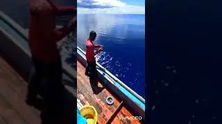 REEL POSEIDON 50sl. The red snapper