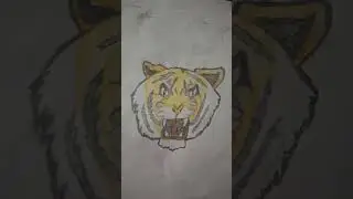 tiger drawing #tigerdrawing #drawings #art