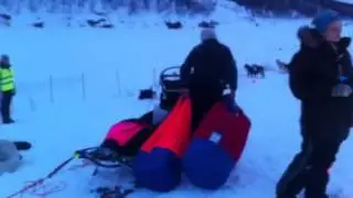Levajok