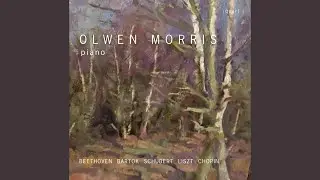 Pr&eacute;ludes, Book 1, L. 117 (Excerpts) : No. 6, Des pas sur la neige