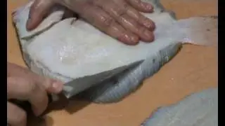 Steinbutt filetieren - How to filet turbot