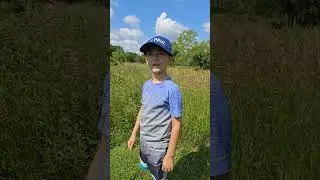 Pollinator Meadow